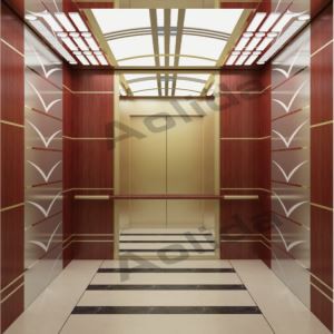 Commercial Passenger Elevator