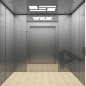 Customized 6 Person Passenger Lift