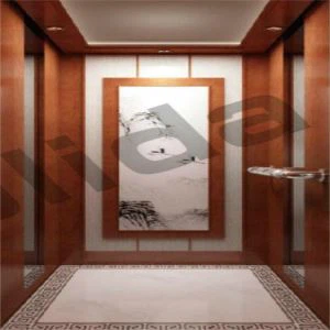 hydraulic lift for villas