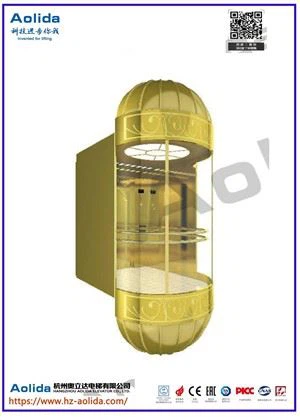 Comfortable And Elegant Sightseeing Elevator
