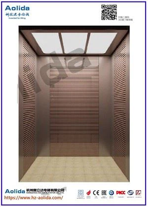 Home Lift With Different Styles