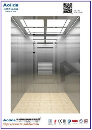 Residential Passenger Lift Elevator